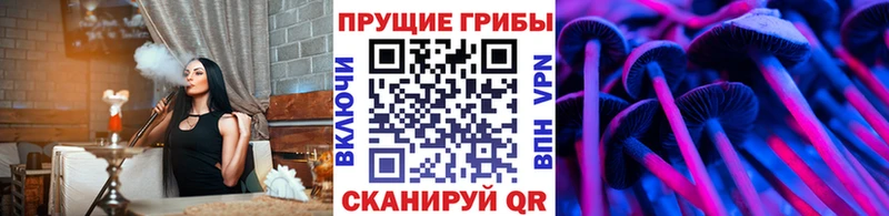 Галлюциногенные грибы Psilocybine cubensis  Куса 